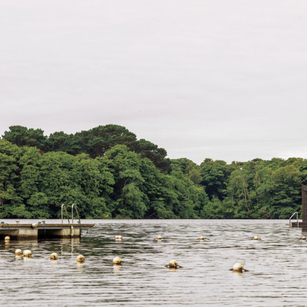 Lake Swim Proficiency Test